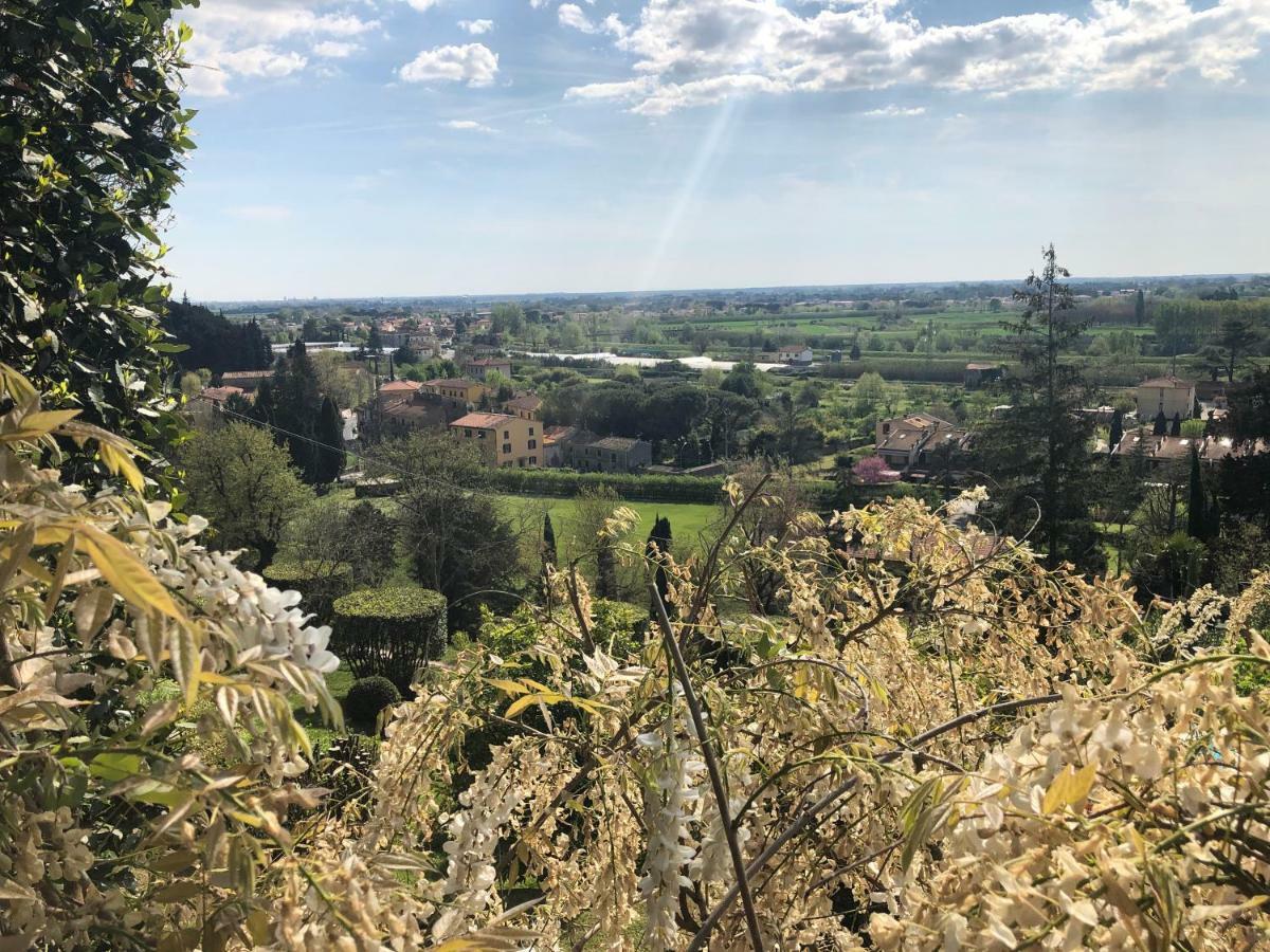 Villa Alta - Residenza D'Epoca Con Piscina San Giuliano Terme Dış mekan fotoğraf